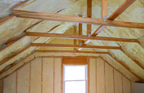 Best Insulation Installation Services in Constantine, MI