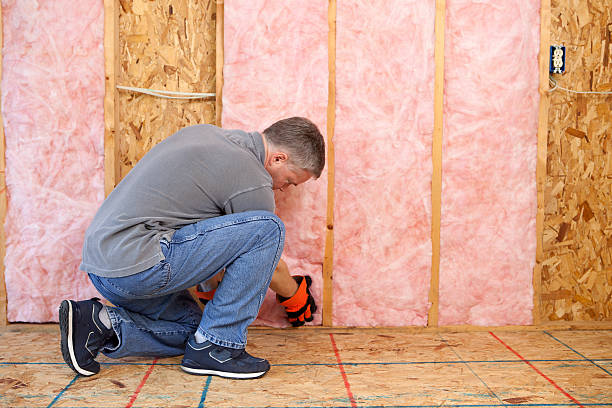 Best Insulation Installation Services in Constantine, MI